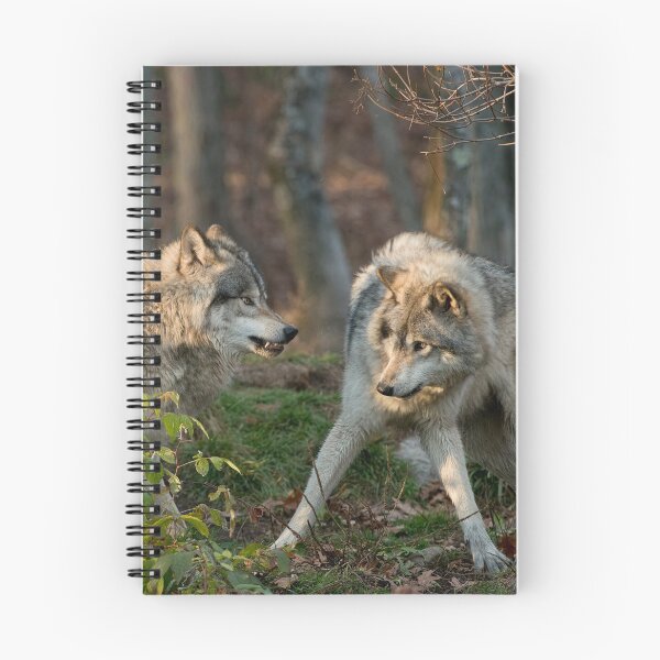 Item preview, Timber Wolves designed and sold by WolvesOnly.