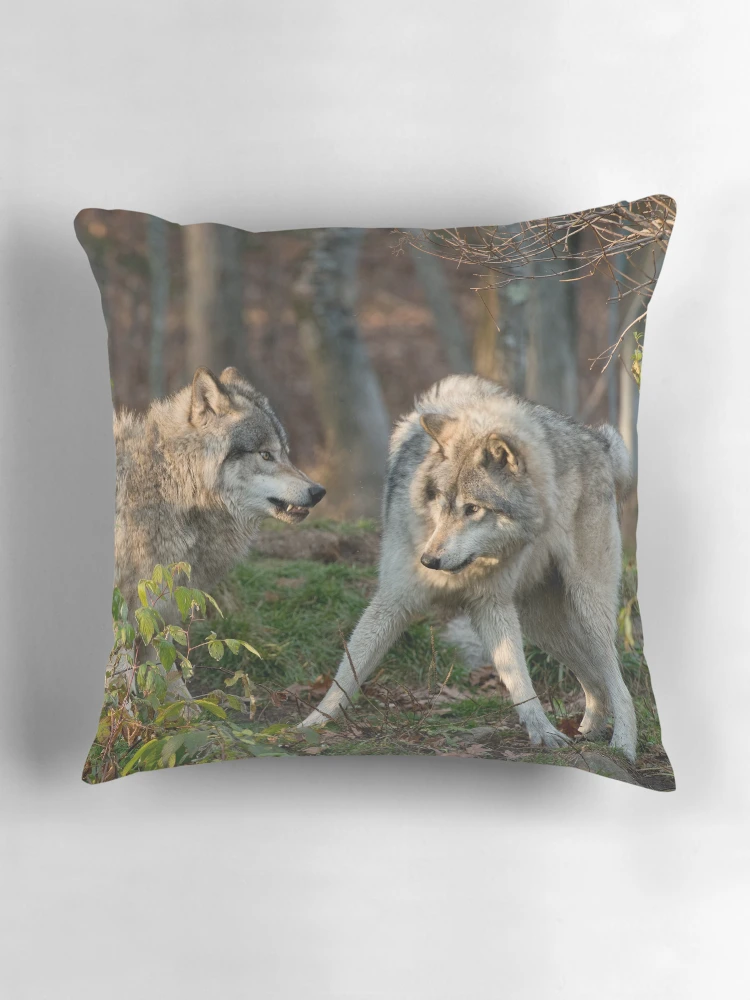 Thumbnail 3 of 4, Pillow, Timber Wolves designed and sold by WolvesOnly.