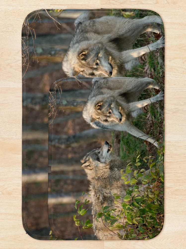 Thumbnail 5 of 6, Bath Mat, Timber Wolves designed and sold by WolvesOnly.
