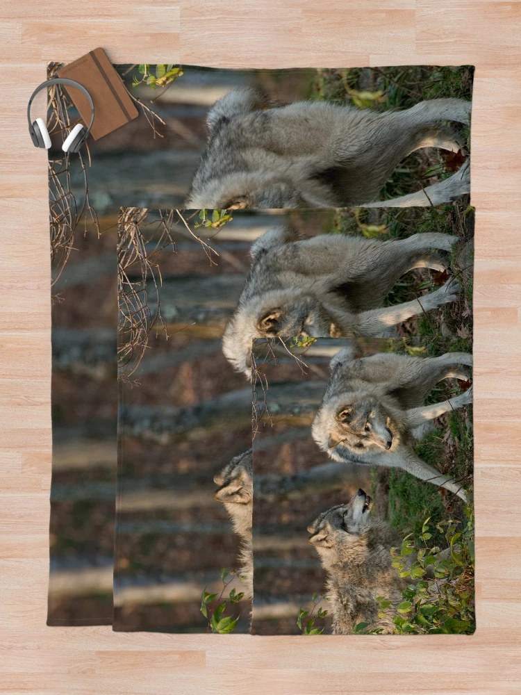 Thumbnail 5 of 6, Throw Blanket, Timber Wolves designed and sold by WolvesOnly.