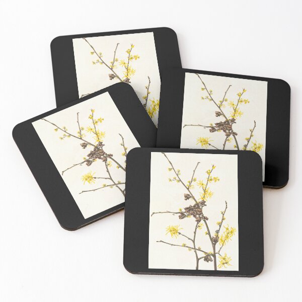 Item preview, Witch-hazel - Botanical Illustration designed and sold by chimakingthings.