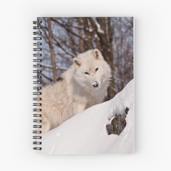Item preview, Arctic Wolf designed and sold by WolvesOnly.