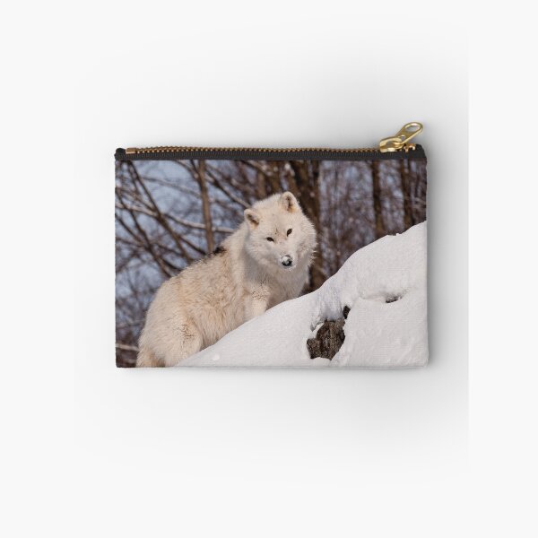 Aperçu de l'œuvre Arctic Wolf créée et vendue par WolvesOnly.