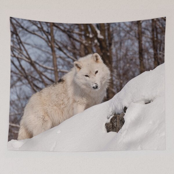 Item preview, Arctic Wolf designed and sold by WolvesOnly.