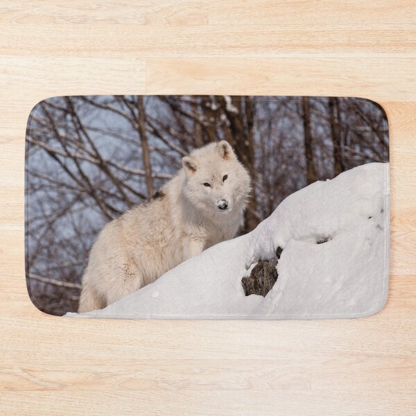 Artikelvorschau, Arctic Wolf entworfen und verkauft von WolvesOnly.