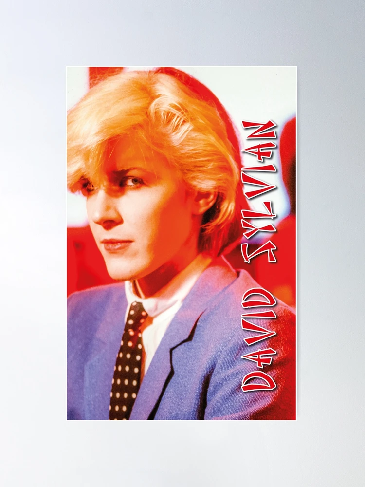 David Sylvian