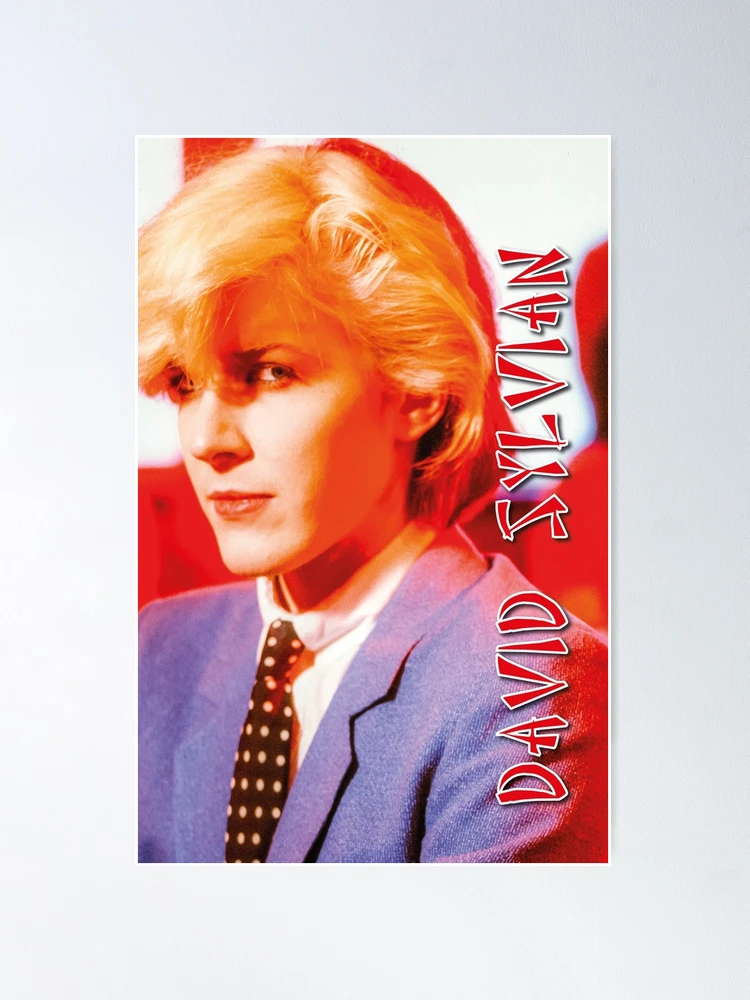 CD未開封 プロフェテーク 1978-1980 David Sylvian David Sylvian