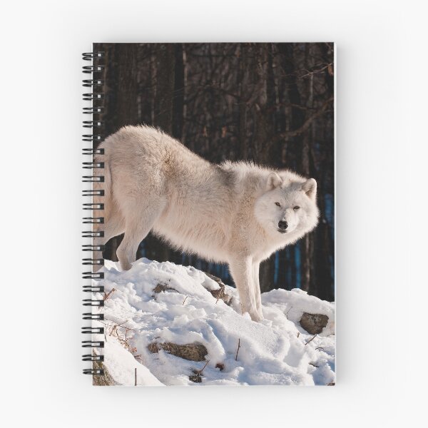 Item preview, Arctic Wolf designed and sold by WolvesOnly.