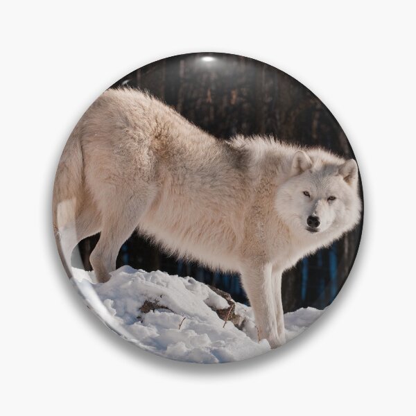 Item preview, Arctic Wolf designed and sold by WolvesOnly.