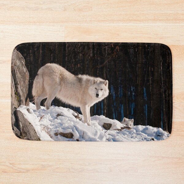 Artikelvorschau, Arctic Wolf entworfen und verkauft von WolvesOnly.