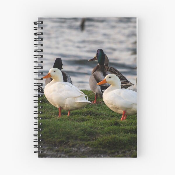 Item preview, Ducks by the Water. designed and sold by GingerMan2550.