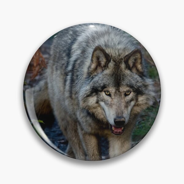 Item preview, Timber Wolf designed and sold by WolvesOnly.