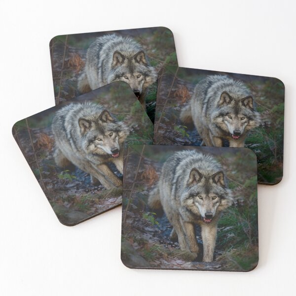 Item preview, Timber Wolf designed and sold by WolvesOnly.