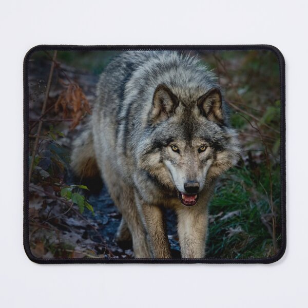 Item preview, Timber Wolf designed and sold by WolvesOnly.