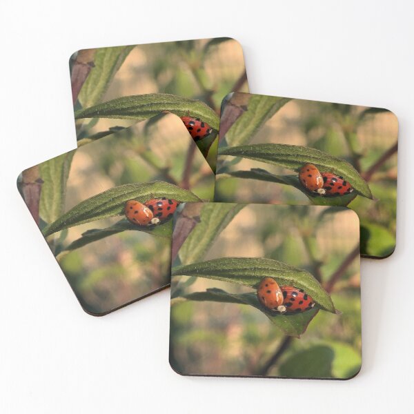 Item preview, Ladybird Love designed and sold by LeilaneDesigns.