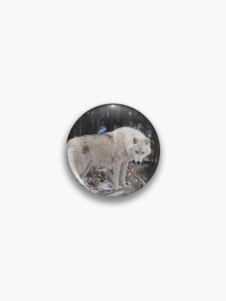 Thumbnail 1 von 3, Button, Arctic Wolf designt und verkauft von WolvesOnly.