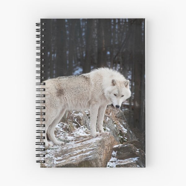 Item preview, Arctic Wolf designed and sold by WolvesOnly.