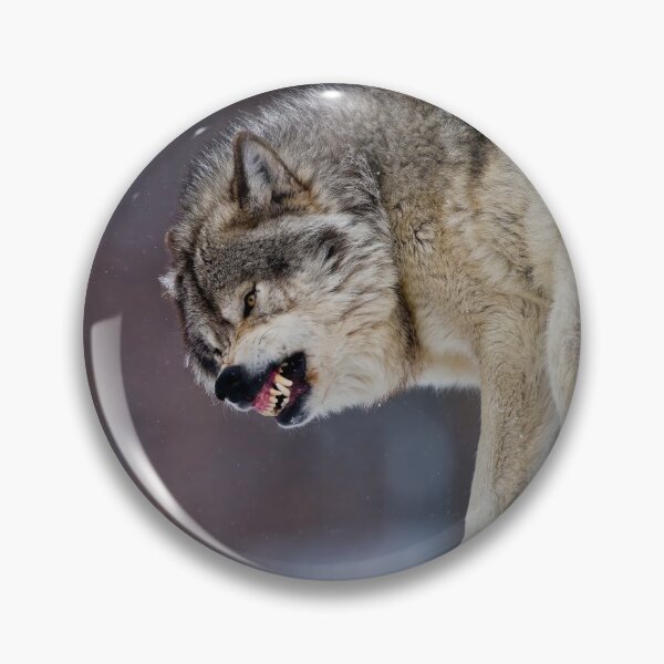 Item preview, Timber Wolves designed and sold by WolvesOnly.