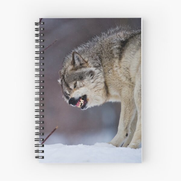 Artikelvorschau, Timber Wolves entworfen und verkauft von WolvesOnly.