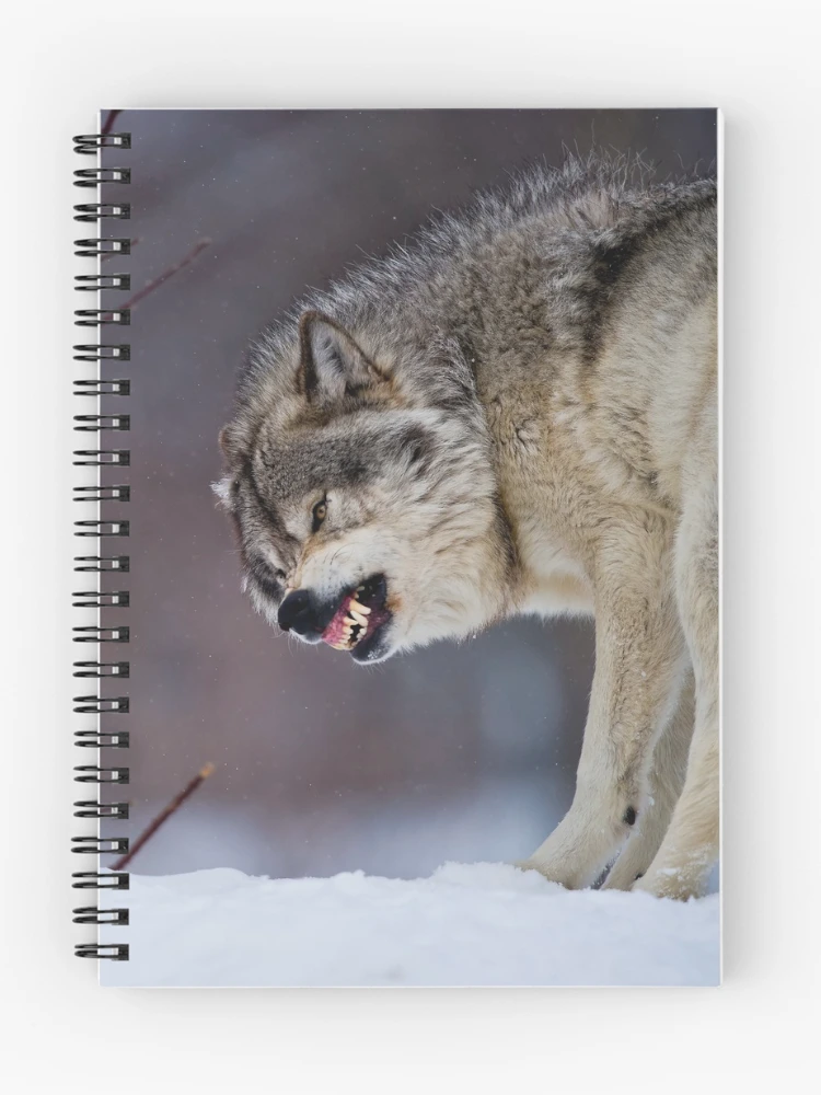 Thumbnail 1 of 3, Journal, Timber Wolves designed and sold by WolvesOnly.