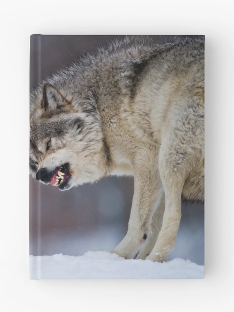 Thumbnail 1 of 3, Journal, Timber Wolves designed and sold by WolvesOnly.