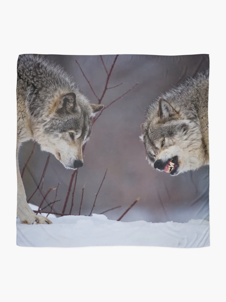 Thumbnail 2 of 3, Scarf, Timber Wolves designed and sold by WolvesOnly.