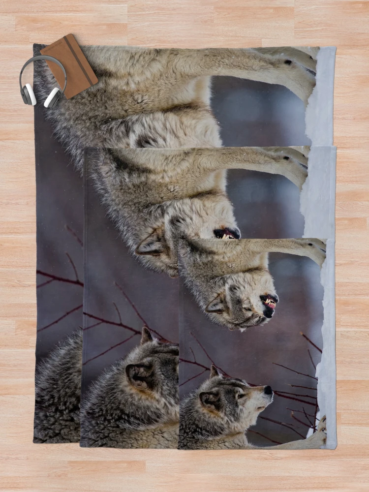 Thumbnail 5 of 6, Throw Blanket, Timber Wolves designed and sold by WolvesOnly.