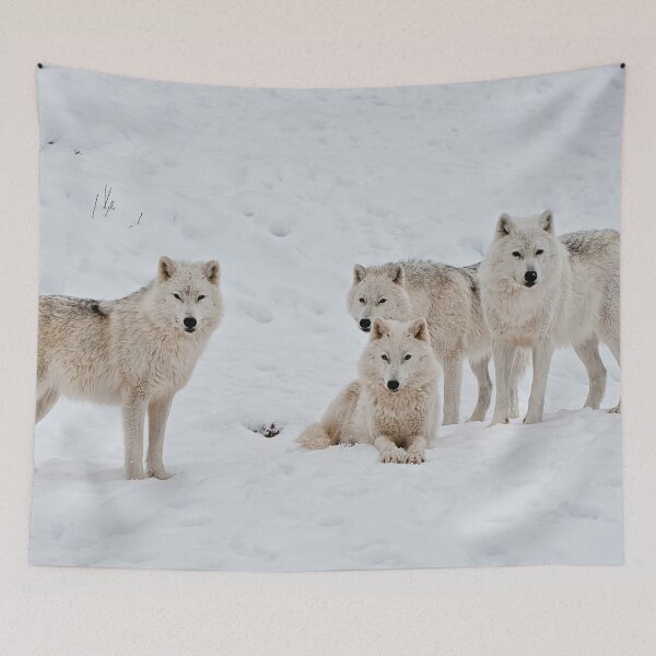 Item preview, Arctic Wolves In Early Morning designed and sold by WolvesOnly.