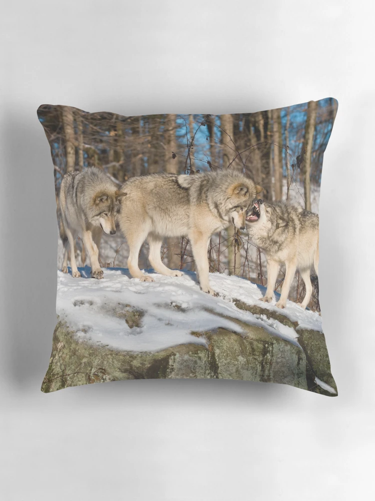Thumbnail 3 of 4, Pillow, Timber Wolves designed and sold by WolvesOnly.