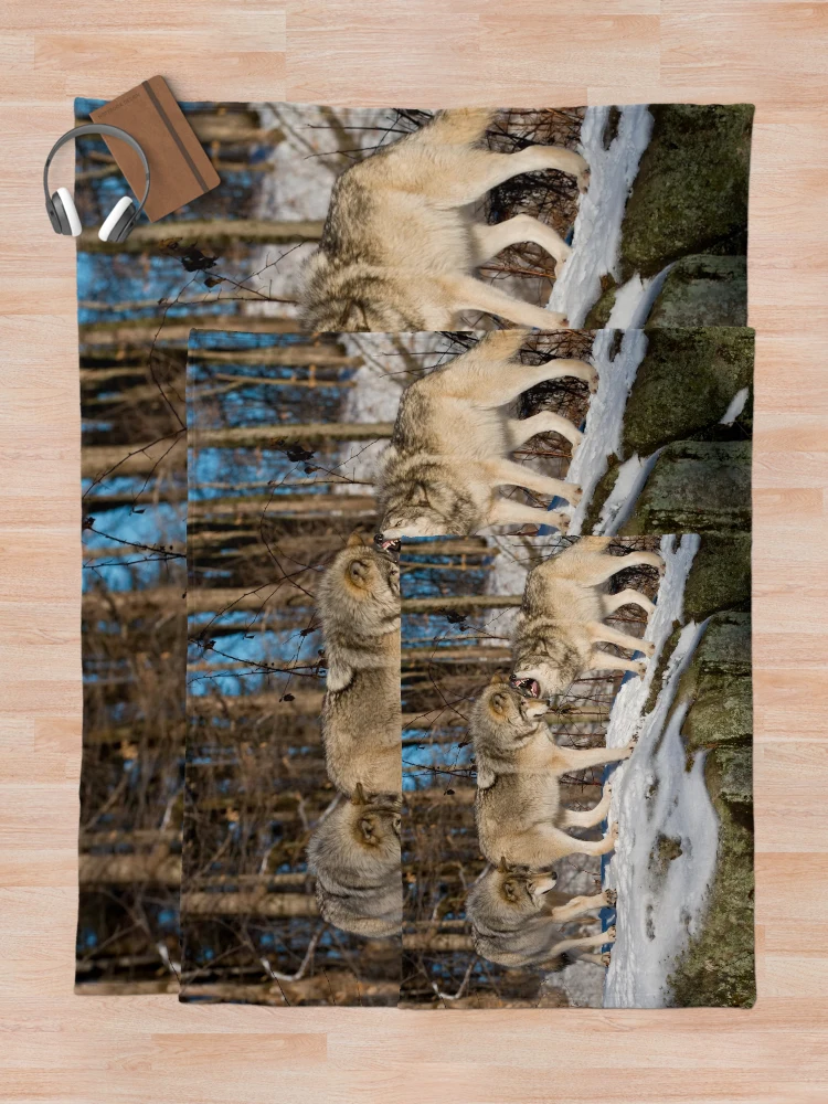Thumbnail 5 of 6, Throw Blanket, Timber Wolves designed and sold by WolvesOnly.