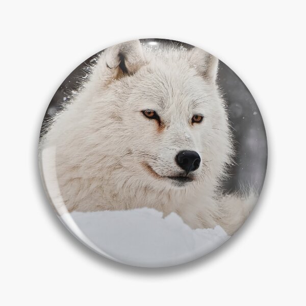 Item preview, Arctic Wolf designed and sold by WolvesOnly.