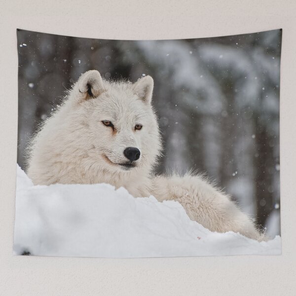 Item preview, Arctic Wolf designed and sold by WolvesOnly.