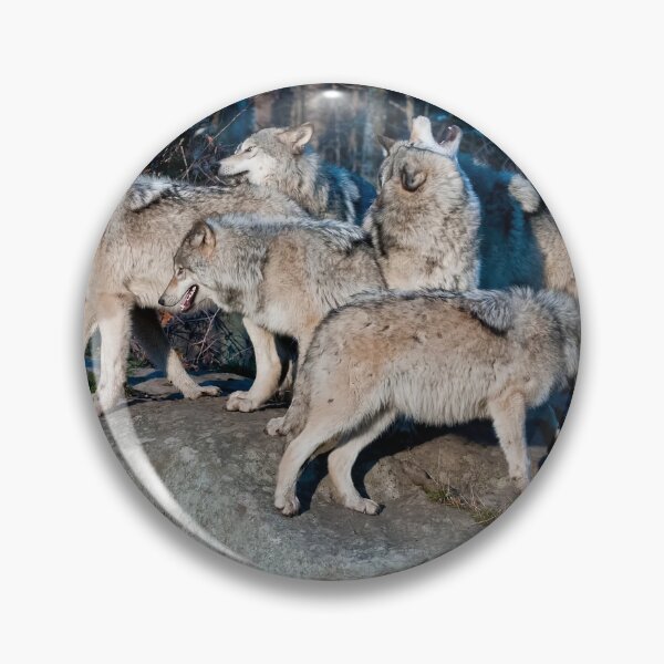 Item preview, Timber Wolves  designed and sold by WolvesOnly.