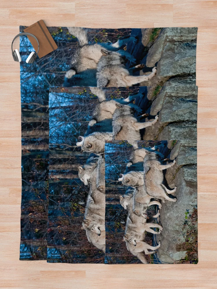 Thumbnail 5 of 6, Throw Blanket, Timber Wolves designed and sold by WolvesOnly.