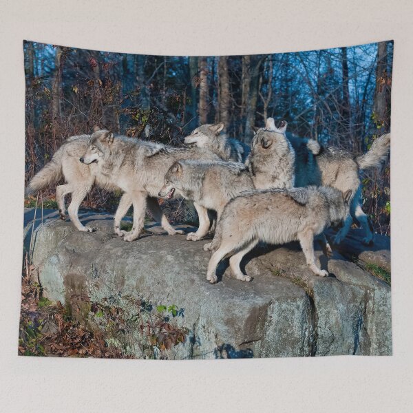 Item preview, Timber Wolves  designed and sold by WolvesOnly.