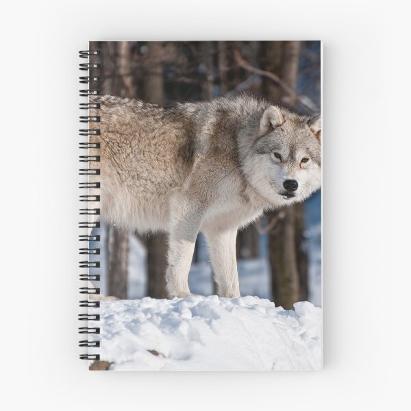 Item preview, Arctic Wolf designed and sold by WolvesOnly.