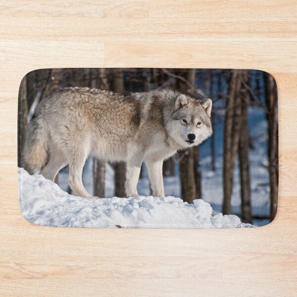 Artikelvorschau, Arctic Wolf entworfen und verkauft von WolvesOnly.
