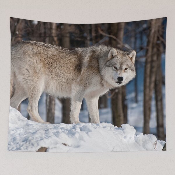 Item preview, Arctic Wolf designed and sold by WolvesOnly.
