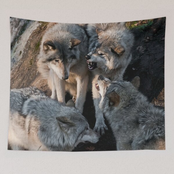 Tapestry