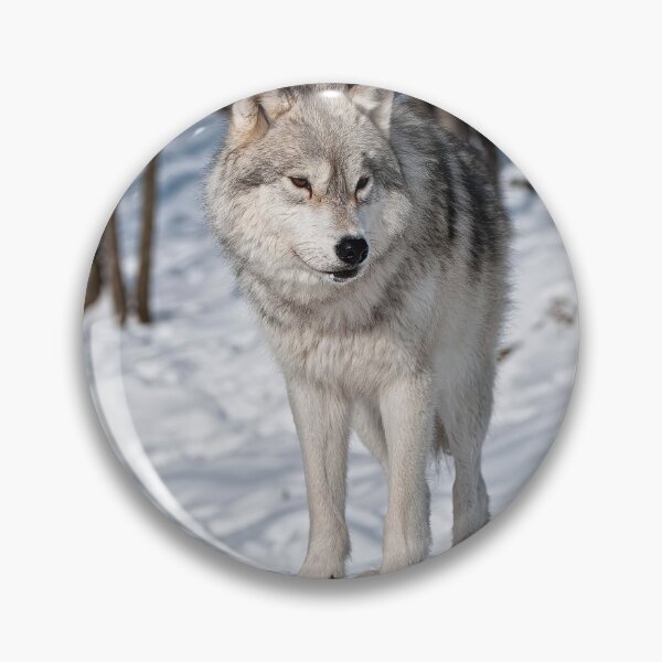 Item preview, Arctic Wolf designed and sold by WolvesOnly.