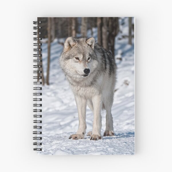 Item preview, Arctic Wolf designed and sold by WolvesOnly.