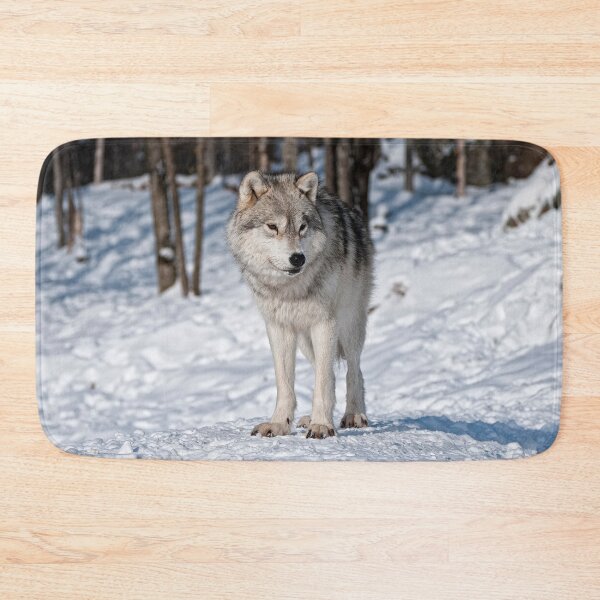 Aperçu de l'œuvre Arctic Wolf créée et vendue par WolvesOnly.
