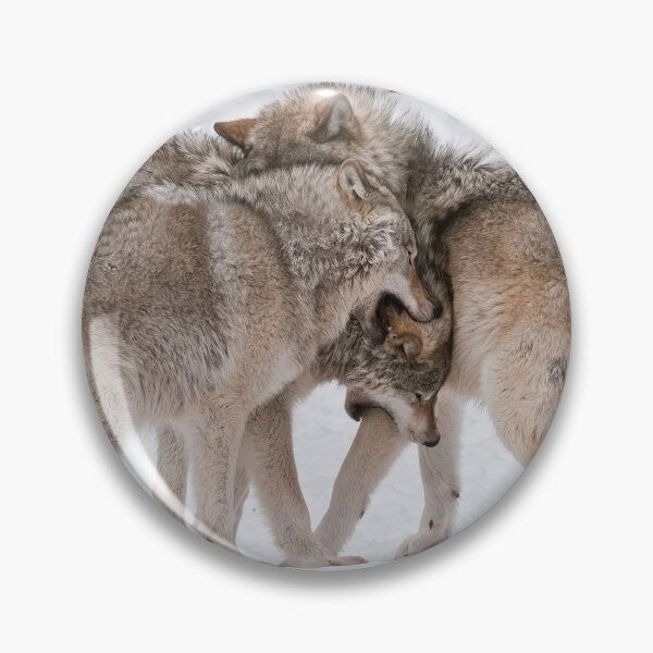 Item preview, Timber Wolves designed and sold by WolvesOnly.