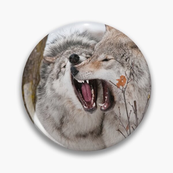 Item preview, Timber Wolves designed and sold by WolvesOnly.