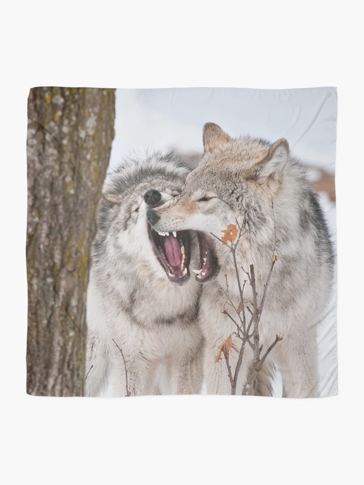 Thumbnail 2 of 3, Scarf, Timber Wolves designed and sold by WolvesOnly.