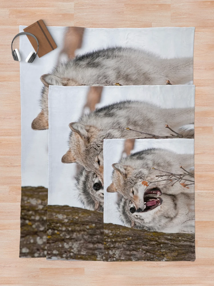 Thumbnail 5 of 6, Throw Blanket, Timber Wolves designed and sold by WolvesOnly.