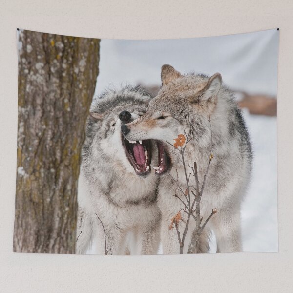 Item preview, Timber Wolves designed and sold by WolvesOnly.