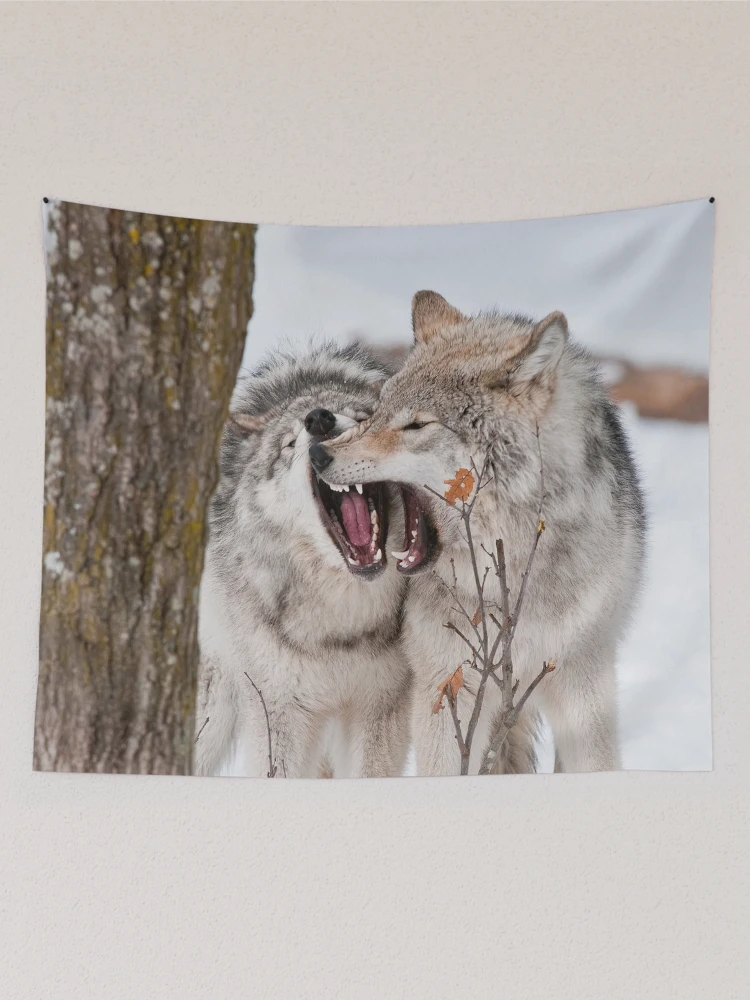 Thumbnail 2 of 3, Tapestry, Timber Wolves designed and sold by WolvesOnly.