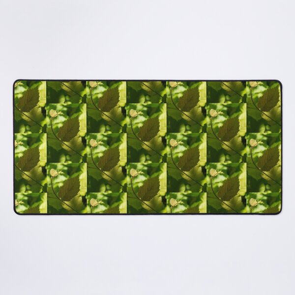 Item preview, Hazel Leaves - New Life in the Springtime Forest designed and sold by Georgia Mizuleva.