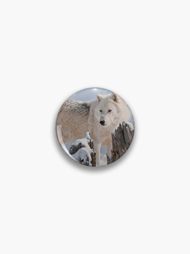 Thumbnail 1 von 3, Button, Arctic Wolf designt und verkauft von WolvesOnly.